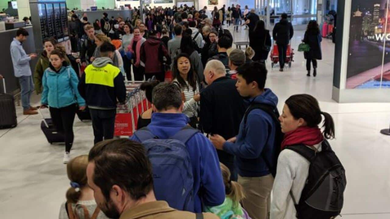Crowds line up at Sydney Airport during the delay. 