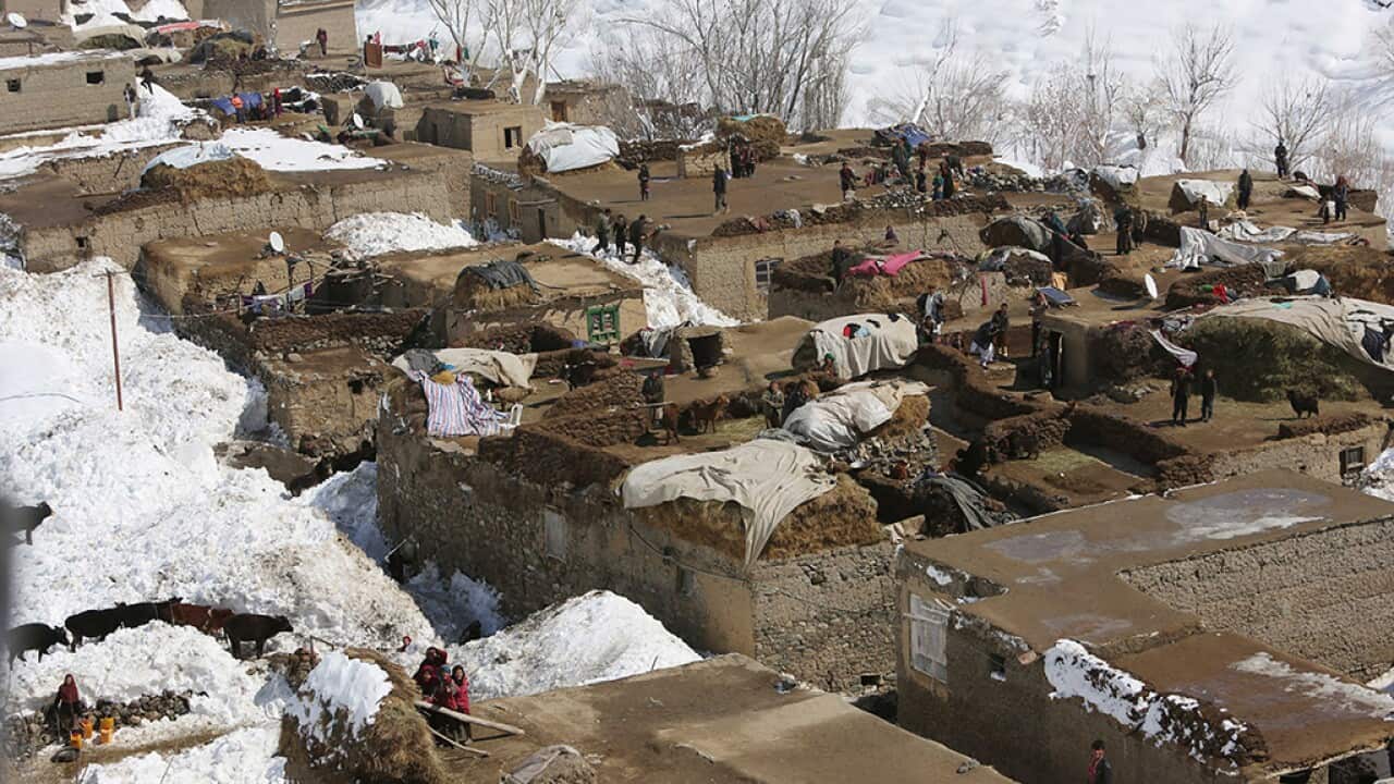 Afghan avalanches toll rises above 260
