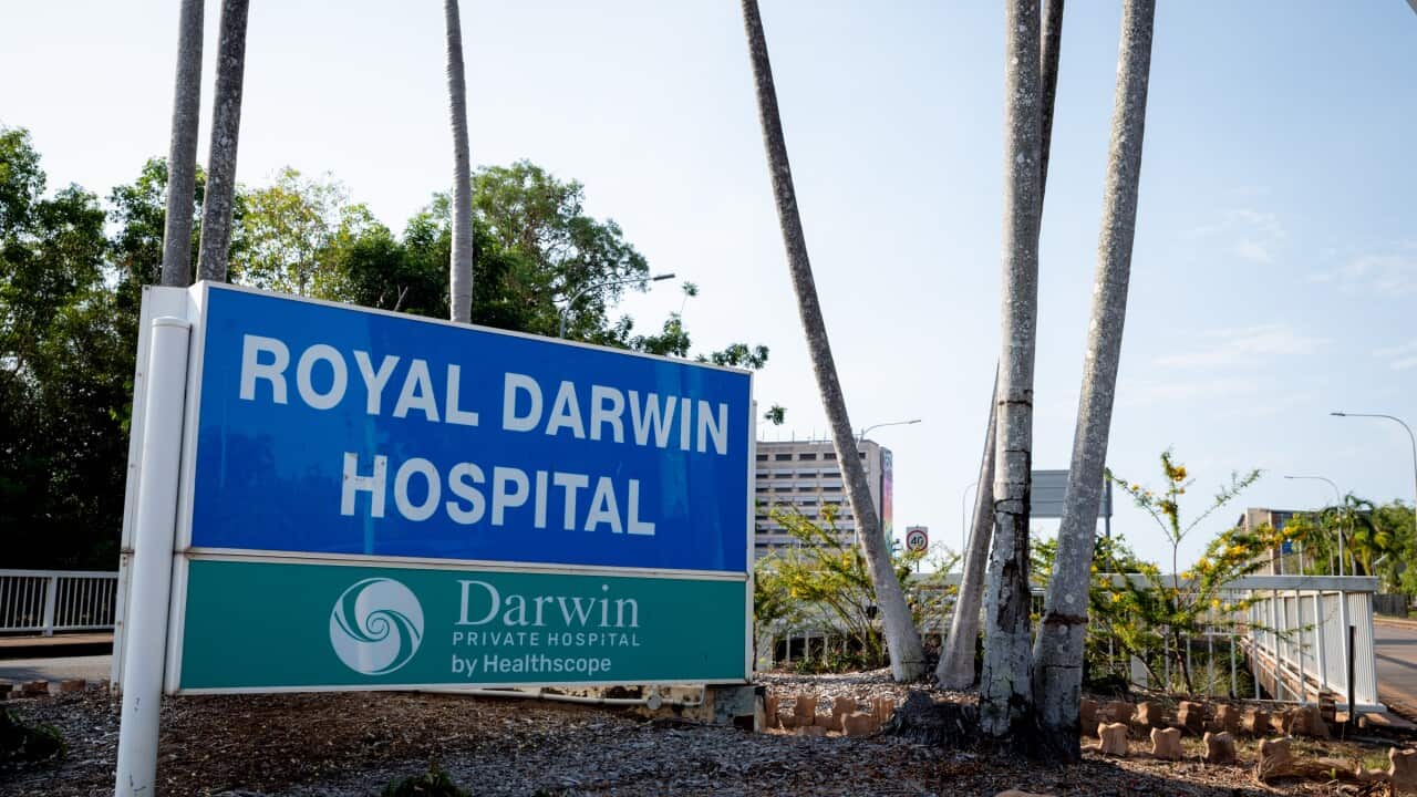 DARWIN STOCK