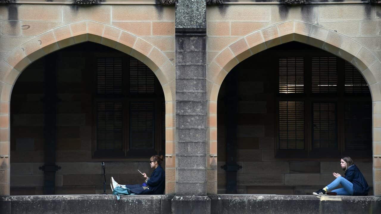 International students to return to Australia next month under the pilot scheme