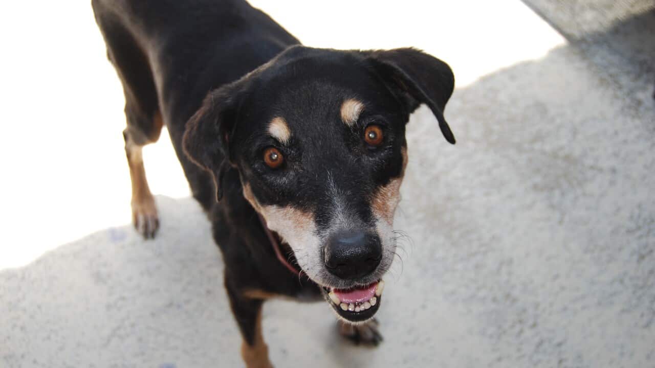 Image for read more article ''