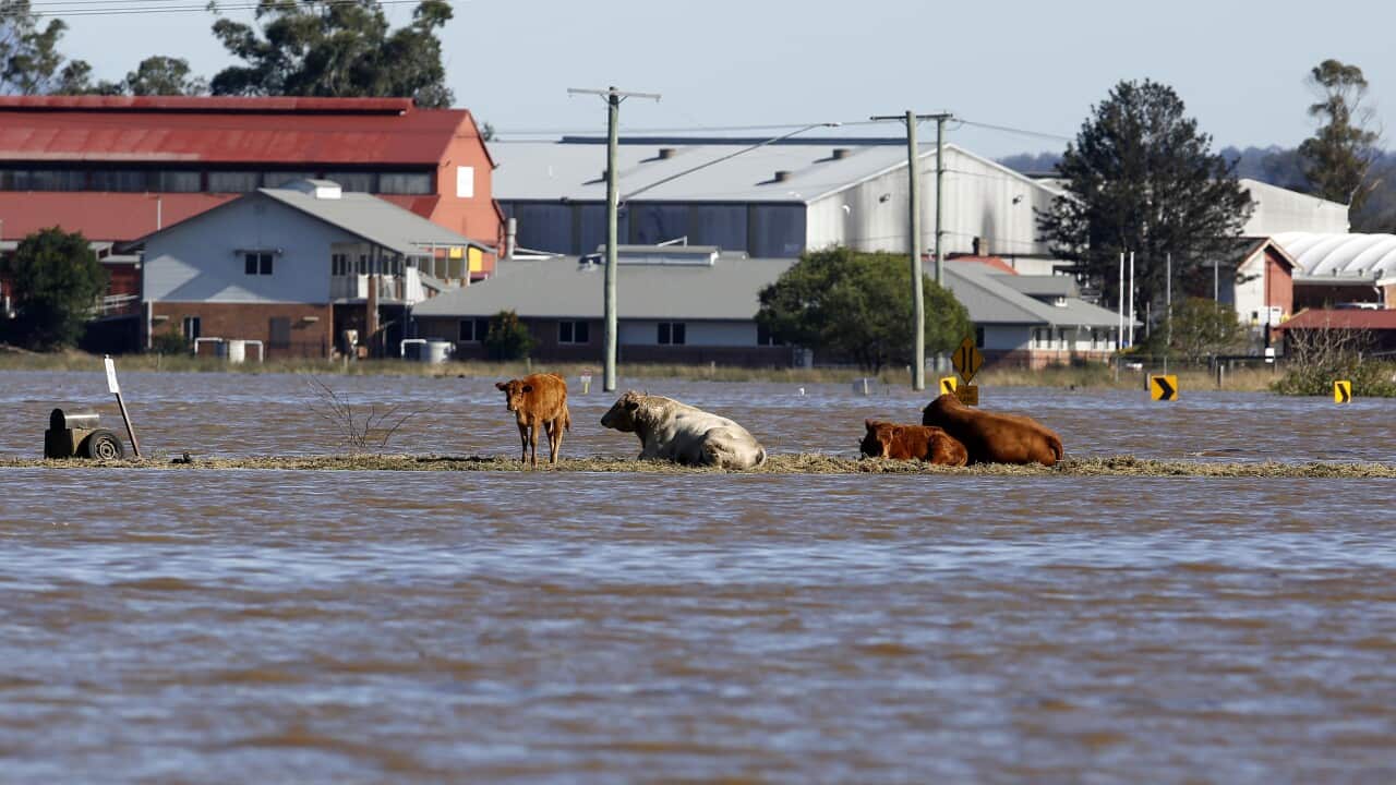 Image for read more article ''