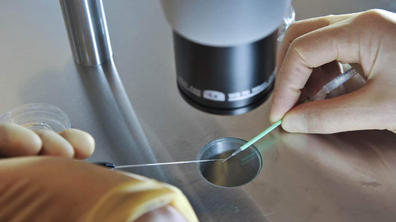 Image for read more article 'READ MORE'