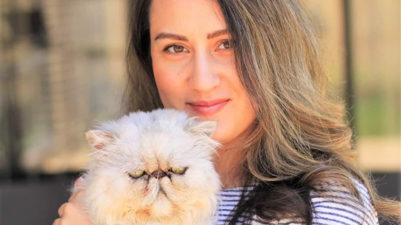 Image for read more article ''