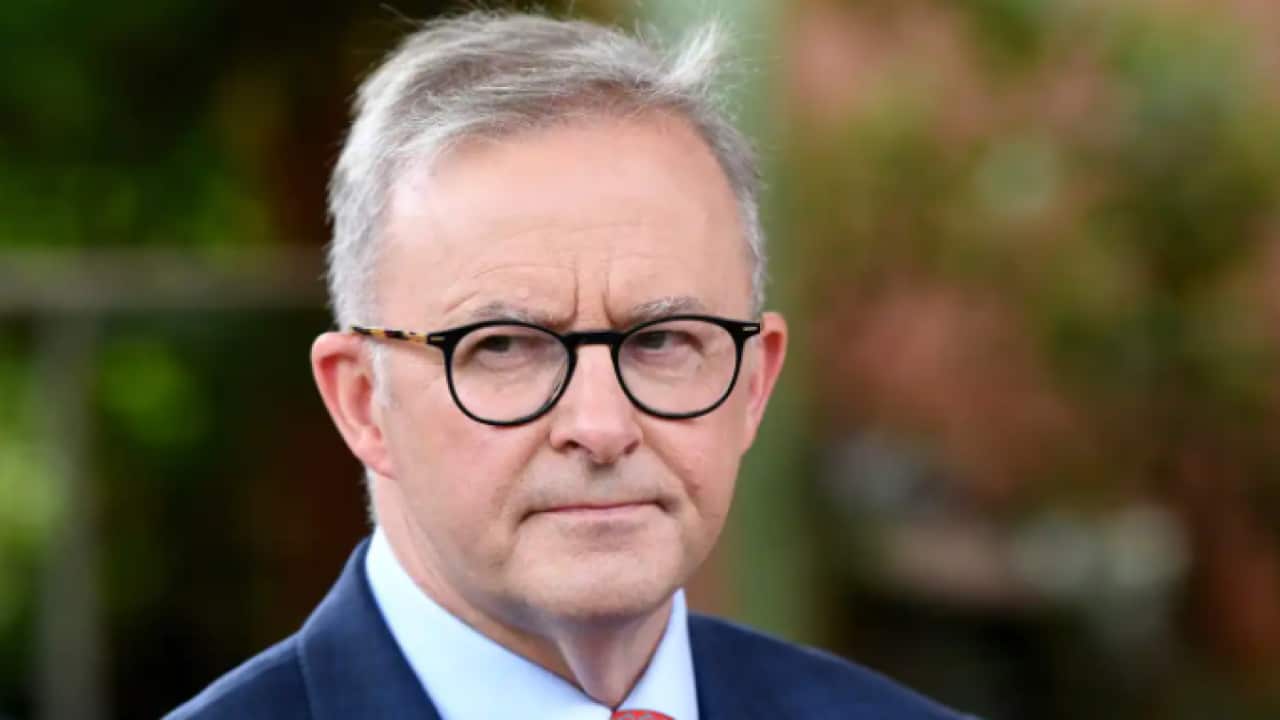 Opposition Leader Anthony Albanese is seen during a press conference on the Gold Coast.