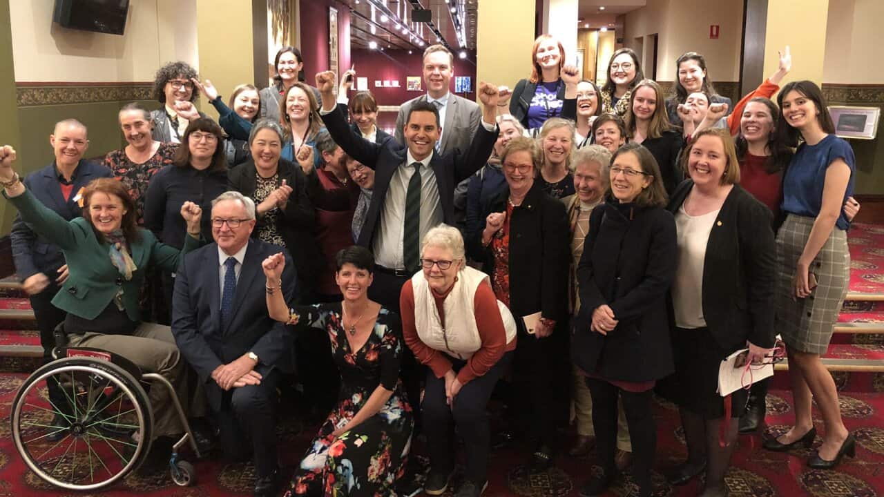 Members of NSW's lower house erupted into cheers as a bill to decriminalise abortion passed its first hurdle after three days of lengthy and passionate debate.