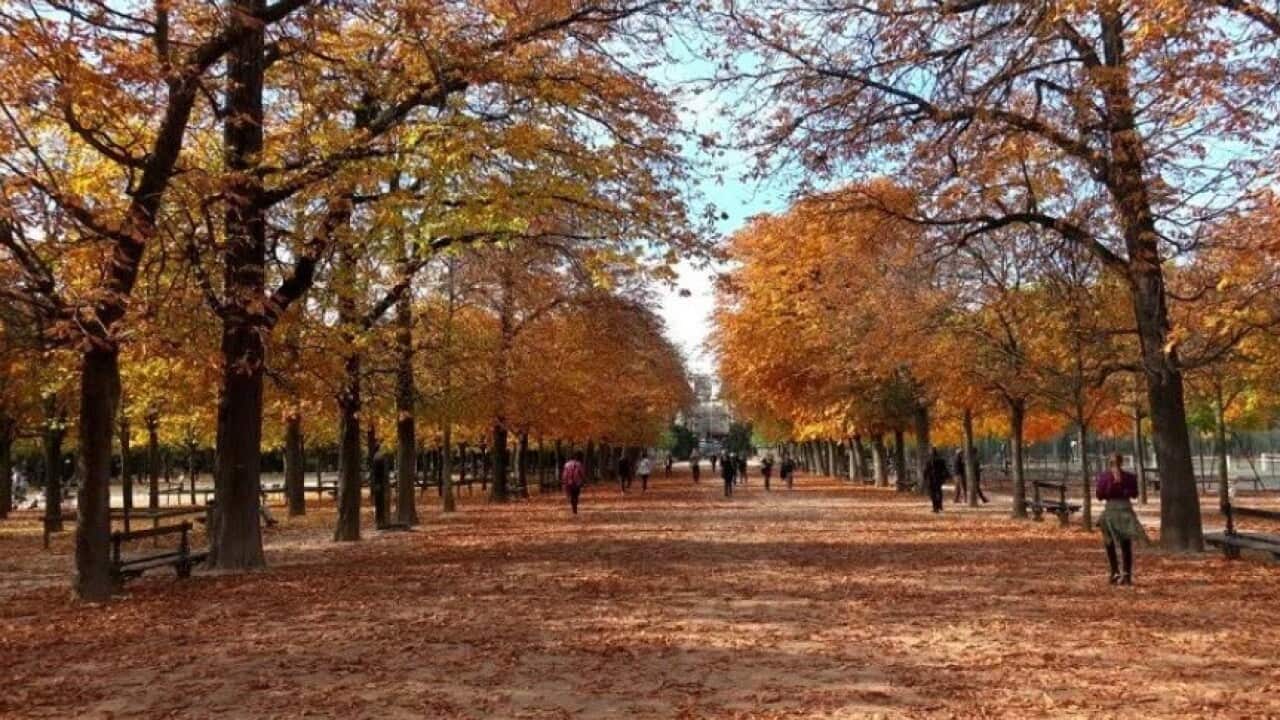 Image for read more article ''