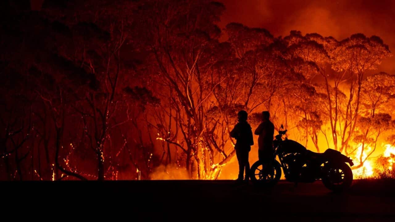 Image for read more article ''