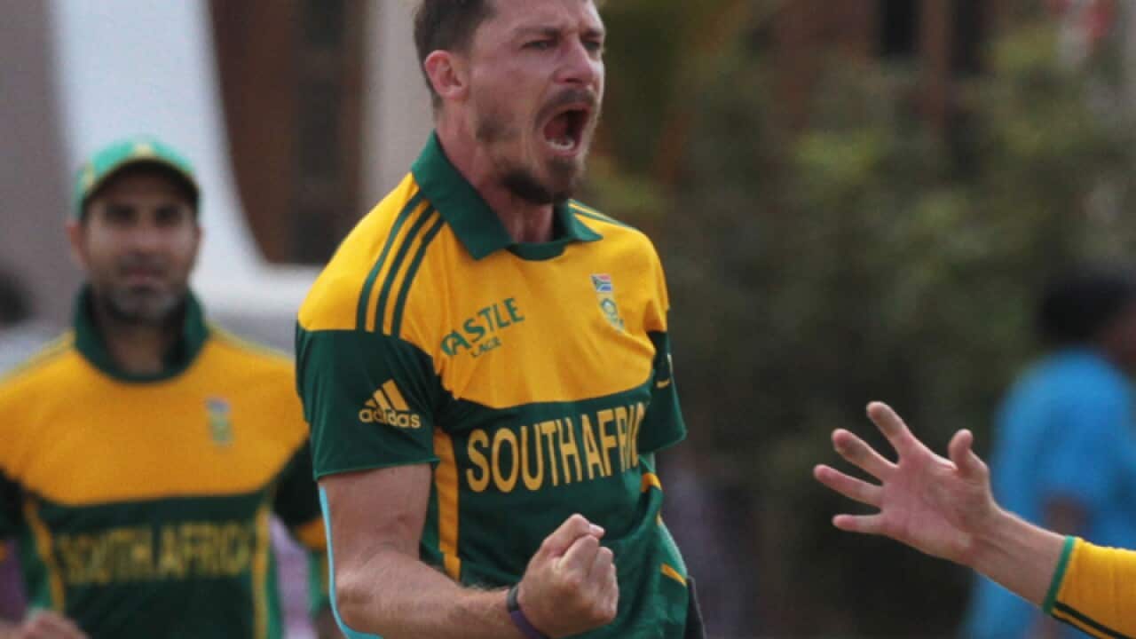 South African bowler Dale Steyn