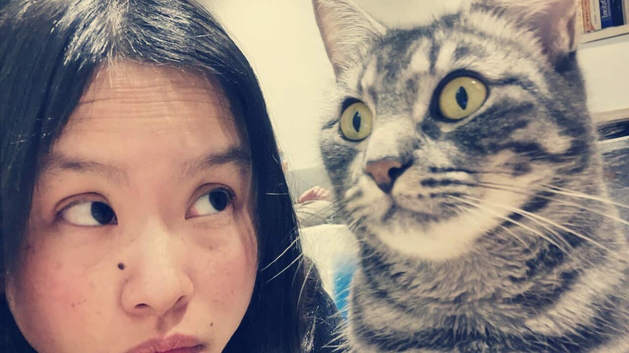 Image for read more article 'Related reading'