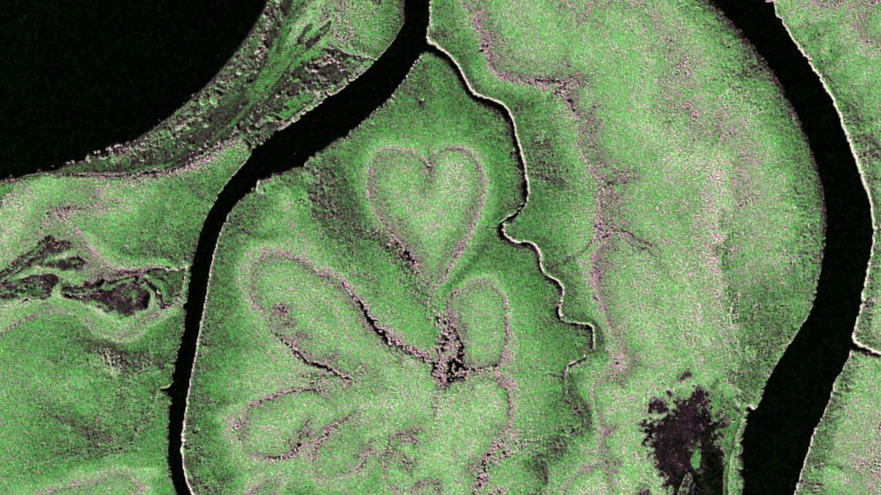 Das _Herz von Voh_ in Neukaledonien Credit DLR CC BY-NC-ND 3.0.jpg