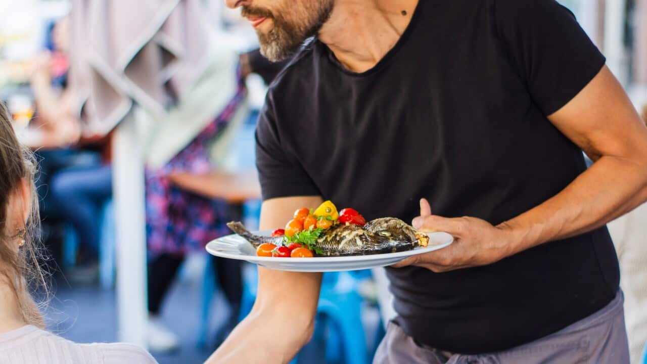 Image for read more article 'READ MORE'