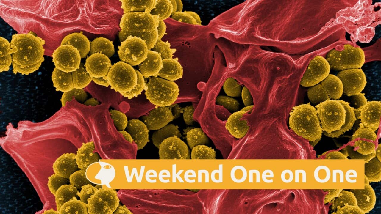 Methicillin-resistant staphylococcus aureus (Getty).jpg