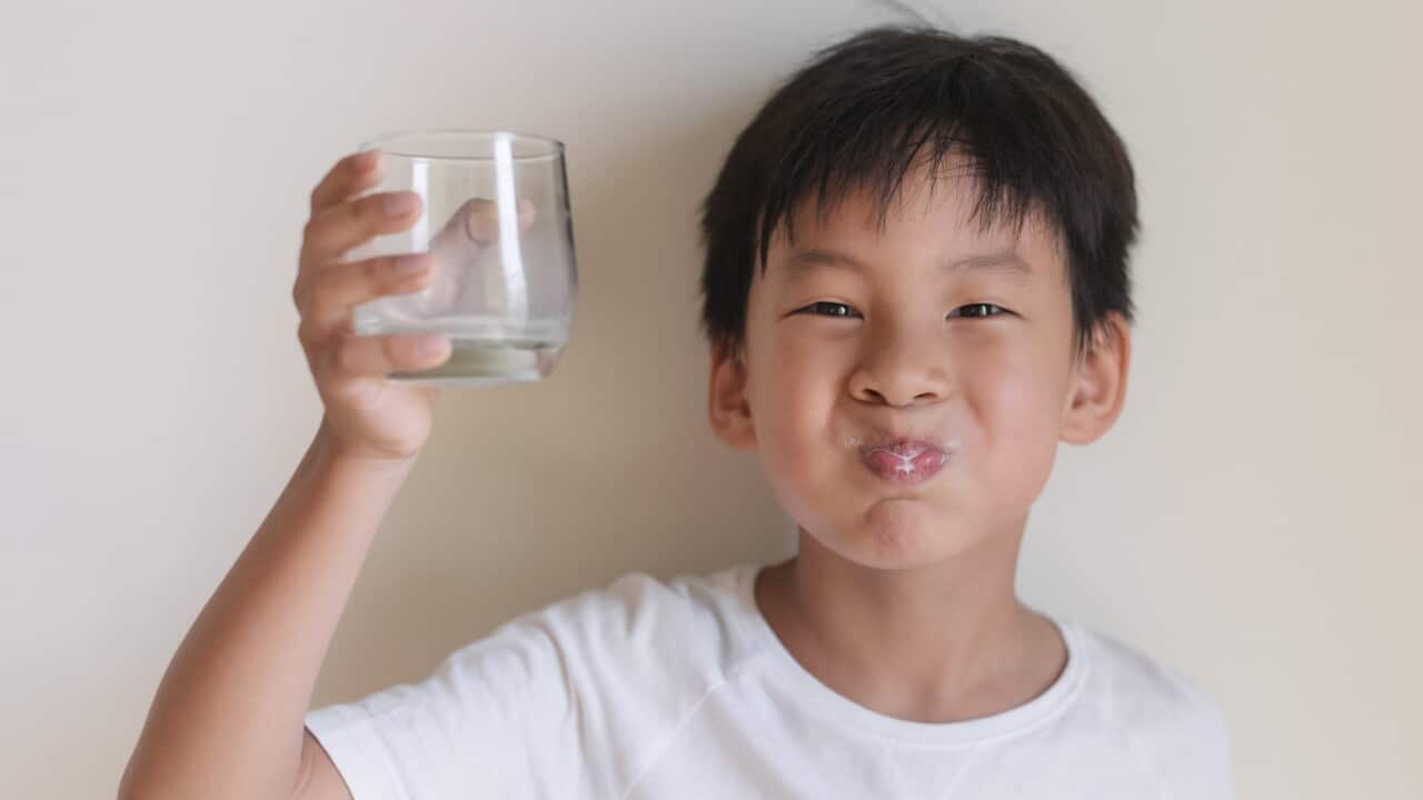 Busting the mucus myth Turns out it’s OK to drink milk when you have a