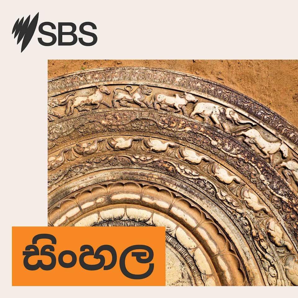 SBS-Podcasts_New_SBSSinhala_3000x3000px (1).jpg