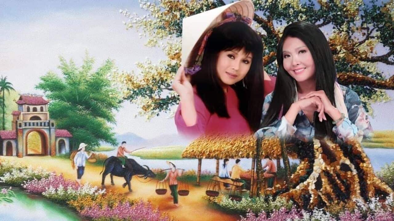 Sơn Ca và Hoạ Mi (phải)