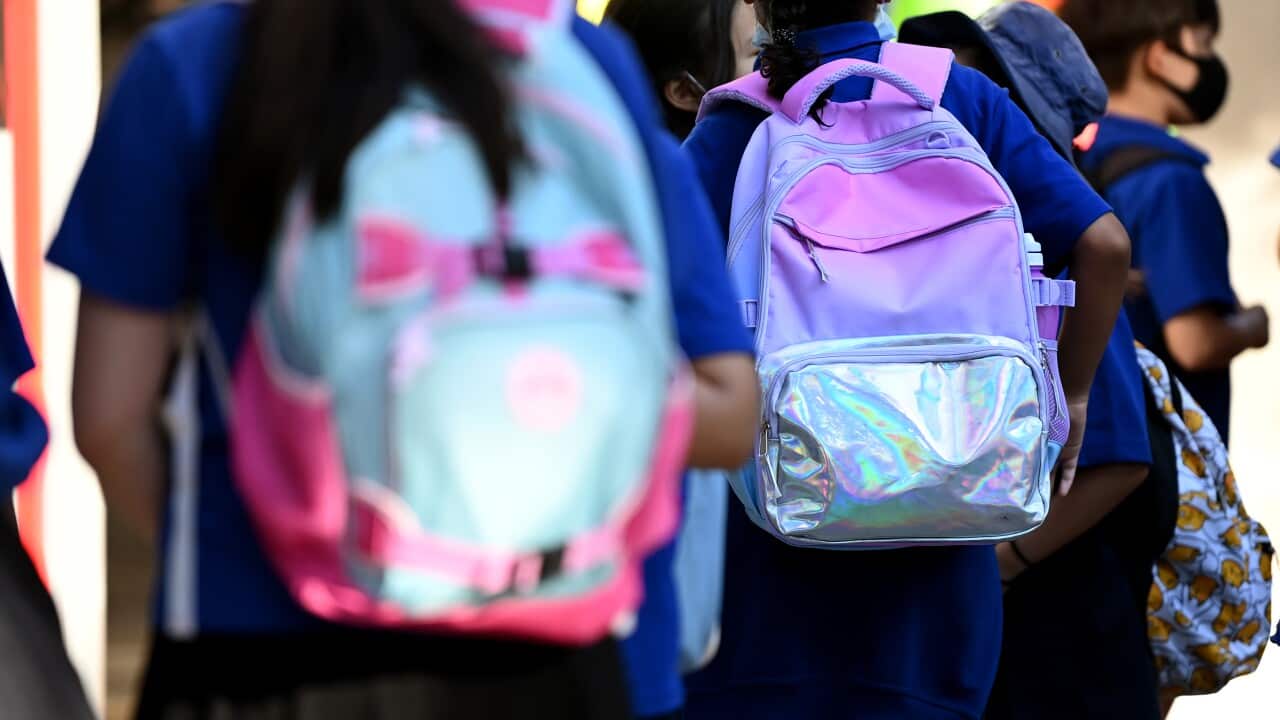 Image for read more article ''