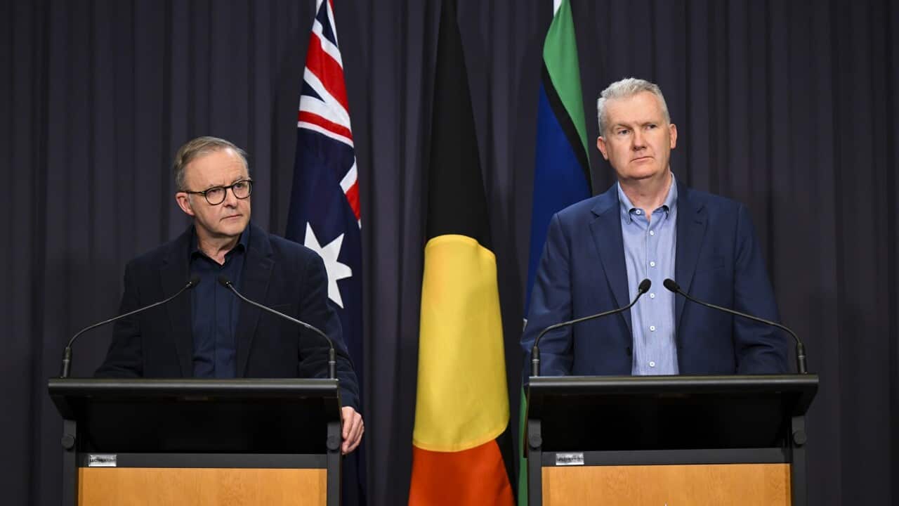 ANTHONY ALBANESE IR BILL PRESSER