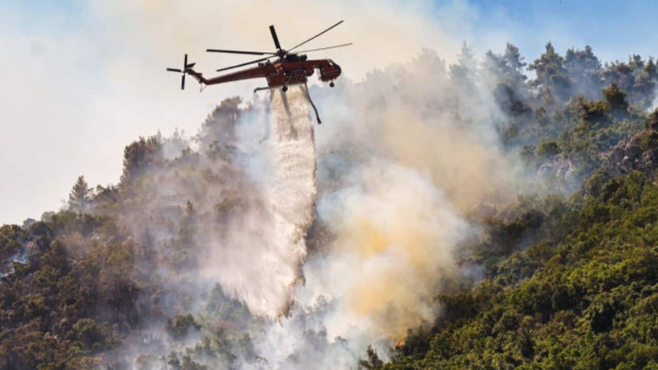 A helicopter drops water over fire in the Thrakomakedones area, in northern Athens, on 7 August, 2021