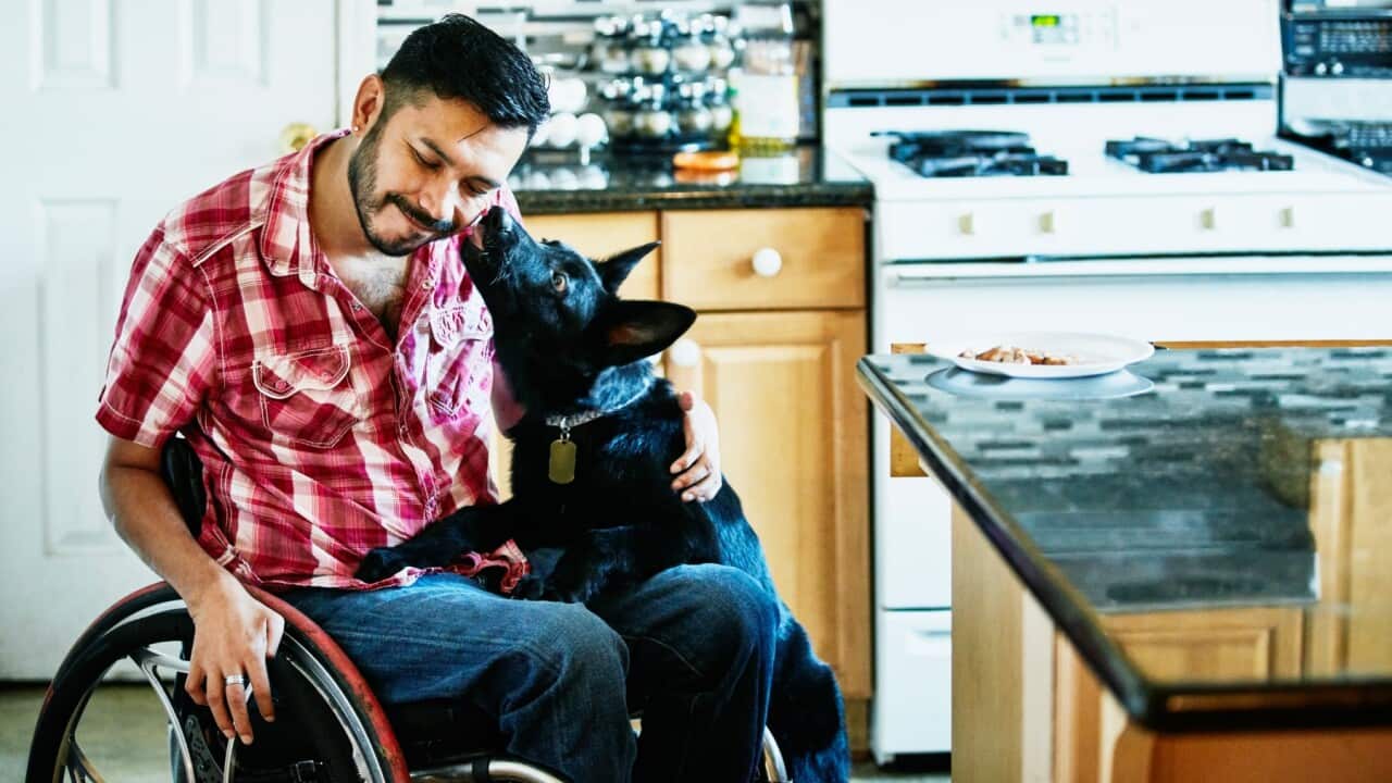 Image for read more article 'READ MORE'