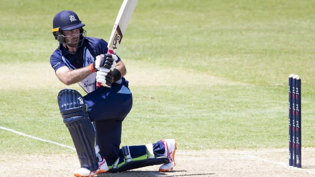 Glenn Maxwell of the Victoria plays a shot