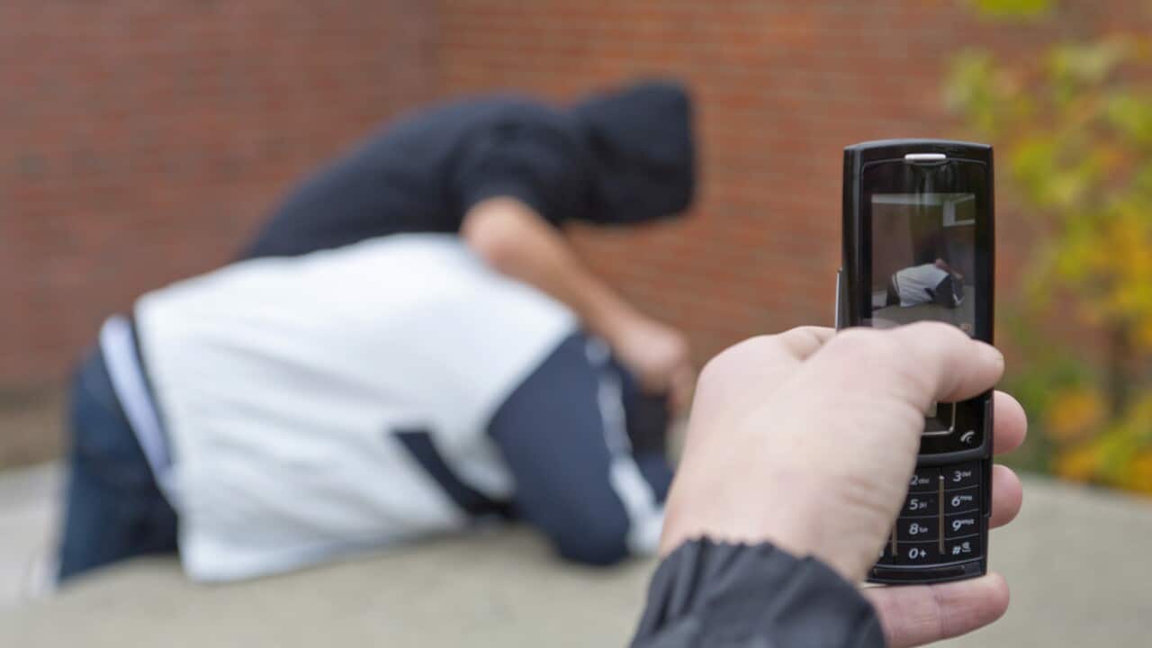 Image for read more article ''