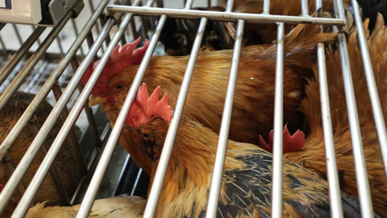 Image for read more article 'READ MORE'