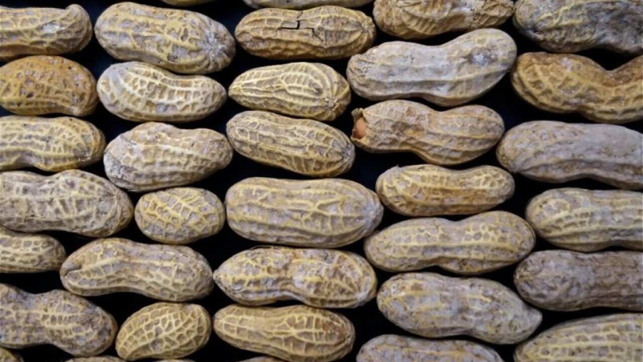 allergie erdnuss essen restaurant heuschnupfen