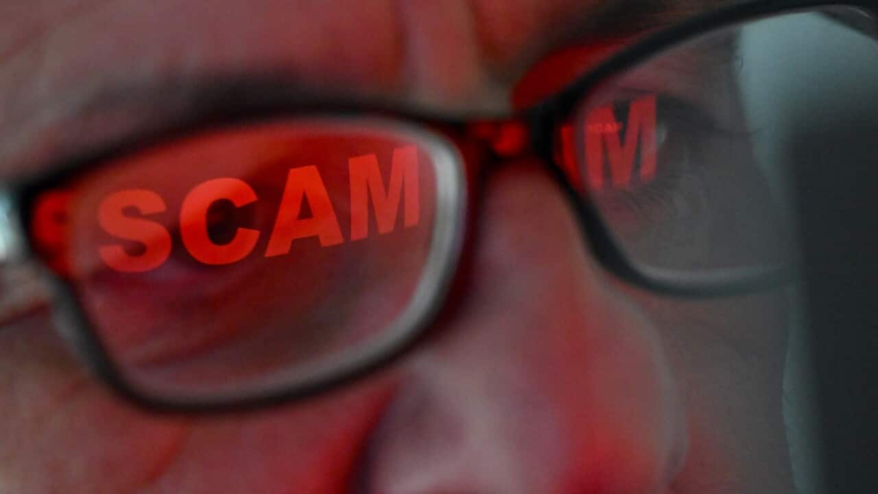 SCAM STOCK