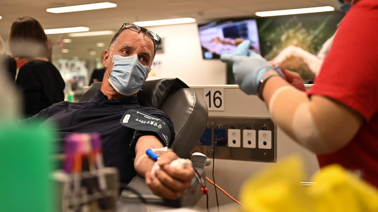 BLOOD DONATIONS SYDNEY