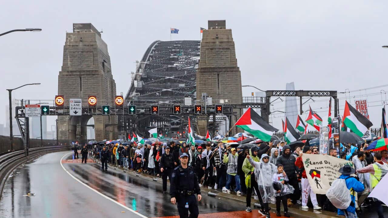 Protesters march across the Sydney Harbour Bridge during the