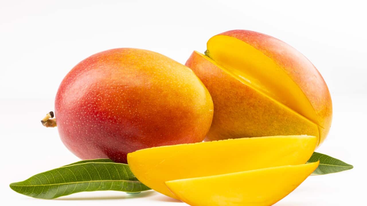 Fresh sliced mango isolated on white background.
