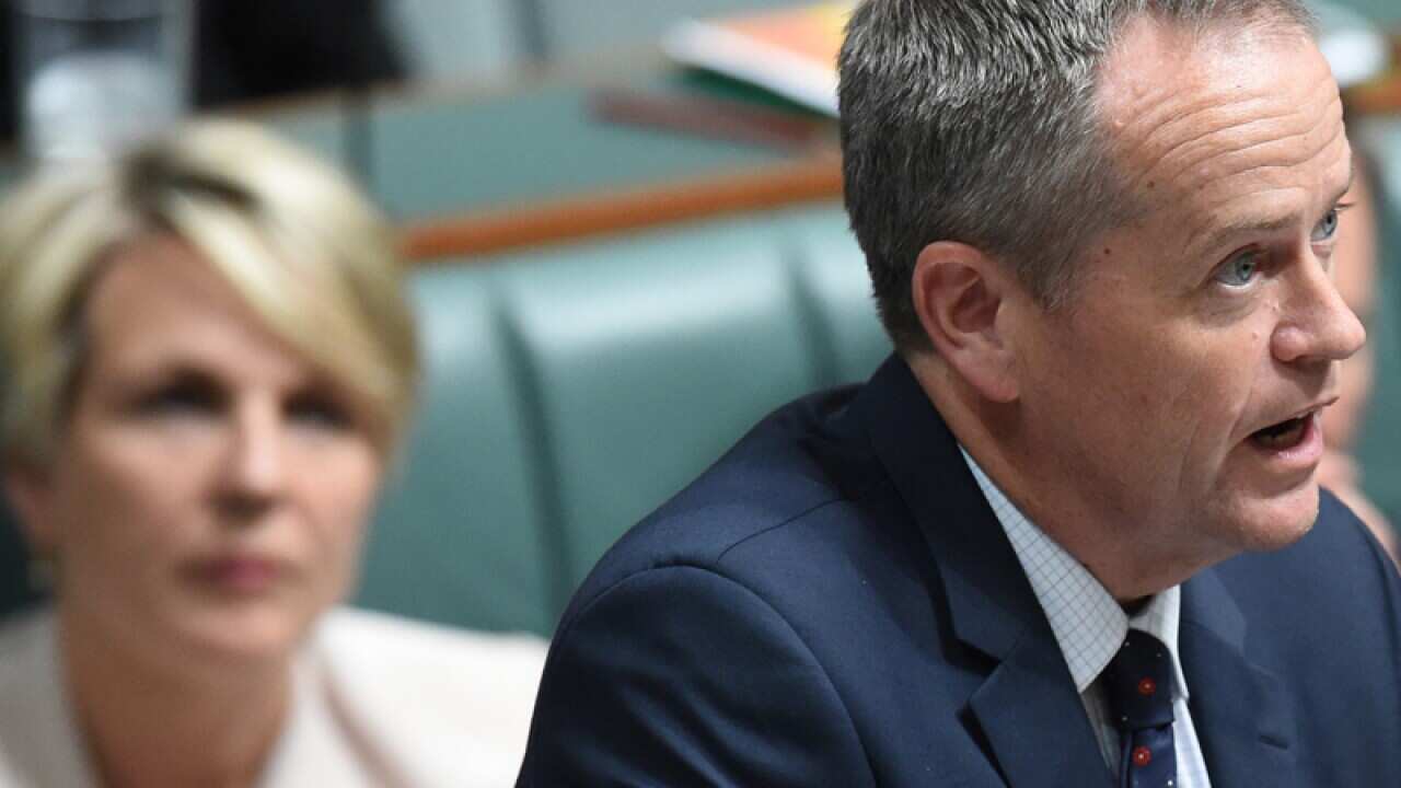 Federal Opposition Leader Bill Shorten.