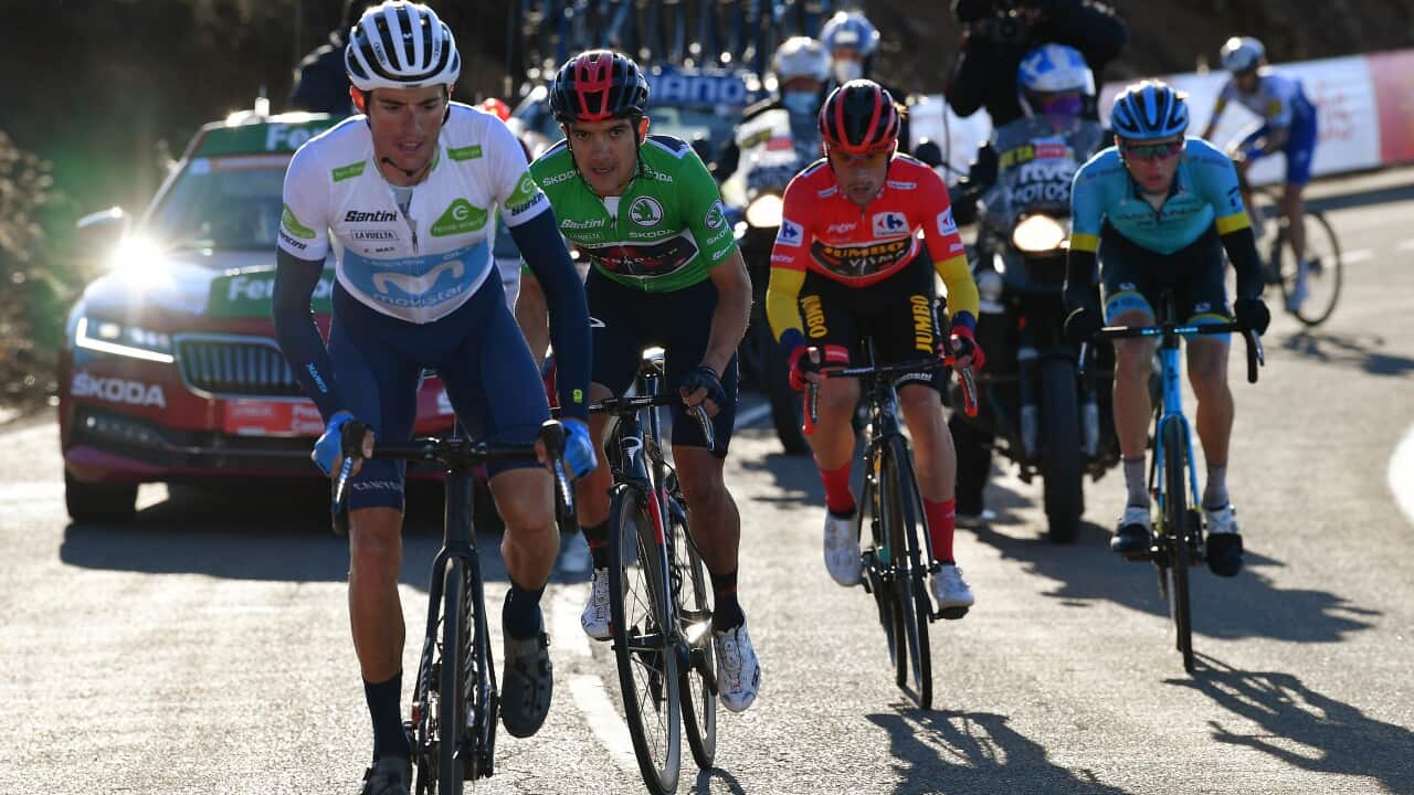 WATCH Vuelta a España LIVE STREAM SBS Sport