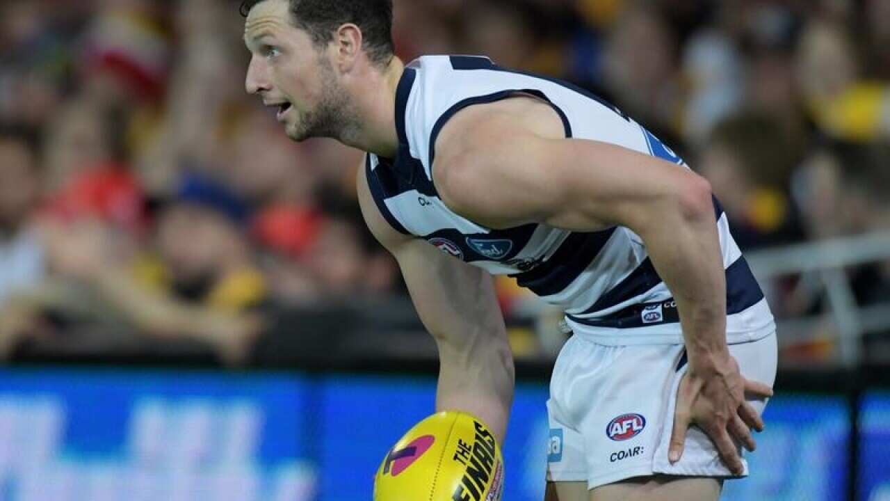 A file image of Geelong Cats forward Lincoln McCarthy