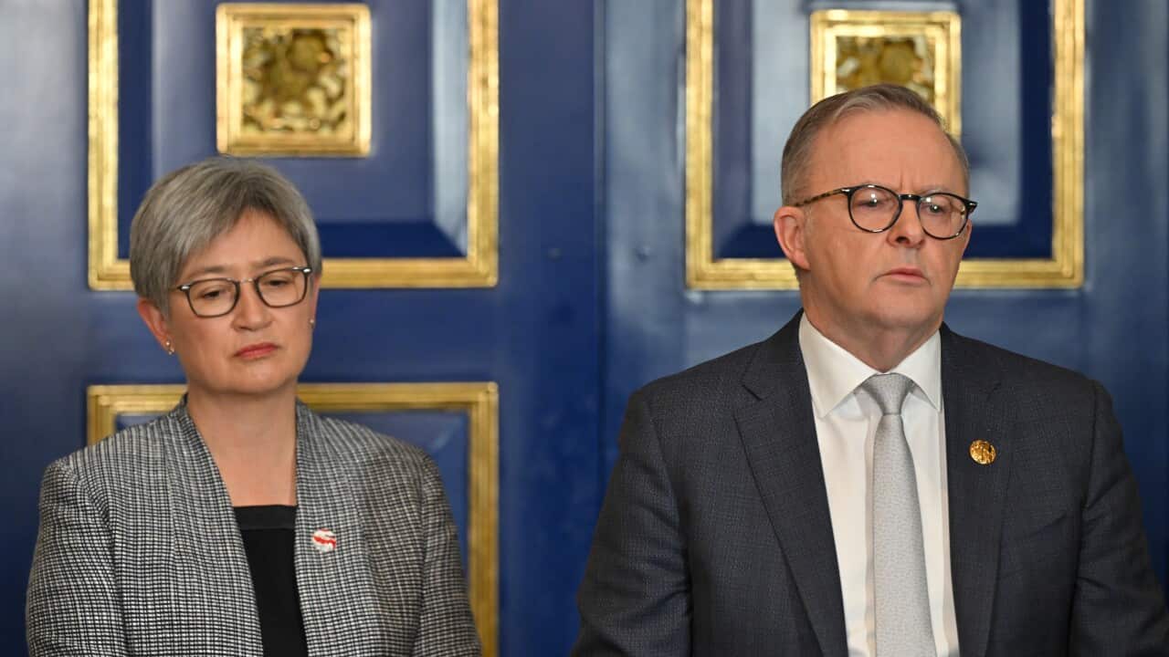 Anthony Albanese and Penny Wong at a press conference.