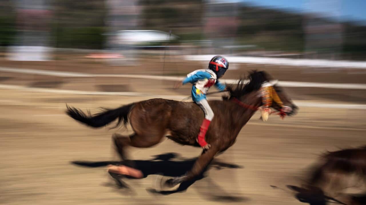 A horse race in Bima, on the Indonesian island of Sumbawa, where child jockeys are a longstanding tradition. (Adam Dean/The New York Times)