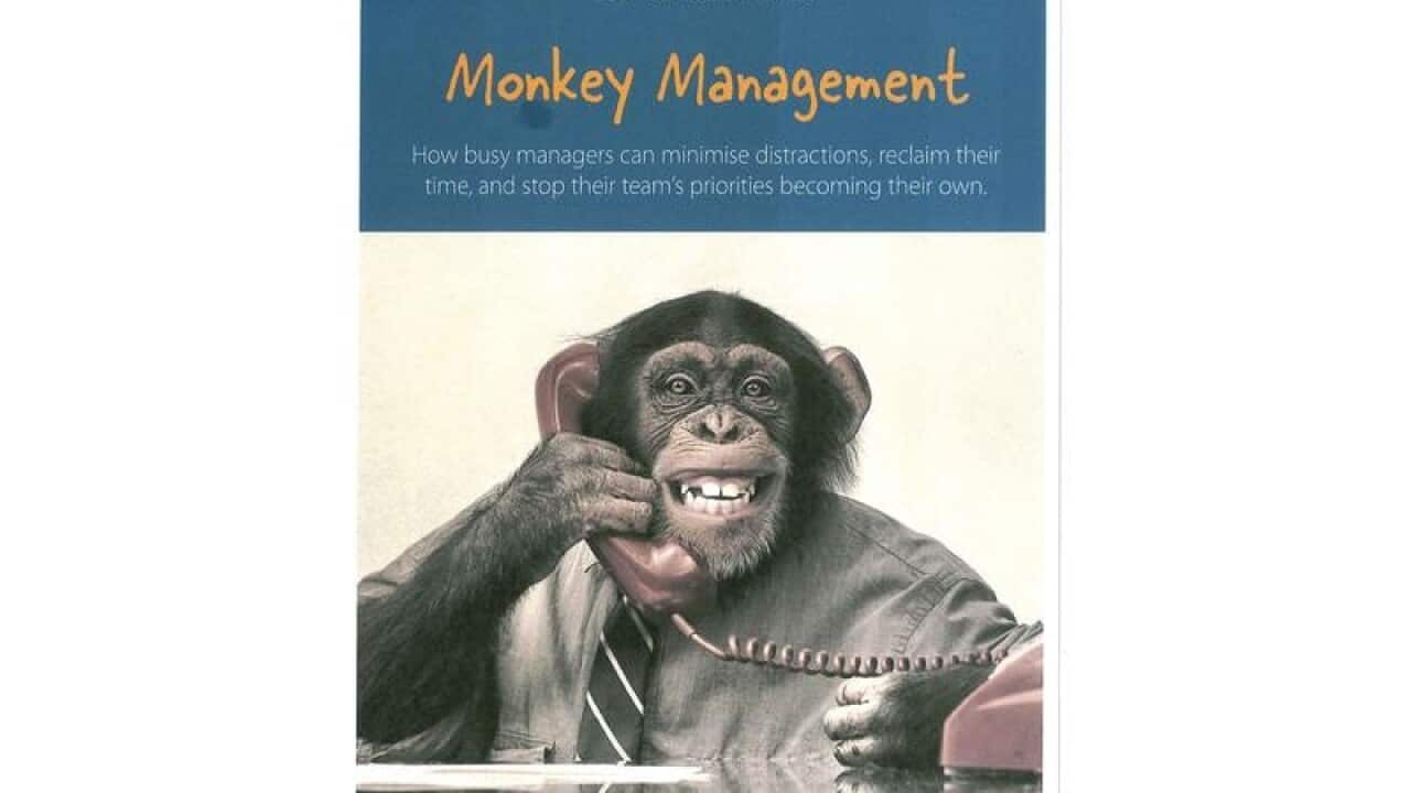 Image for read more article 'READ MORE'