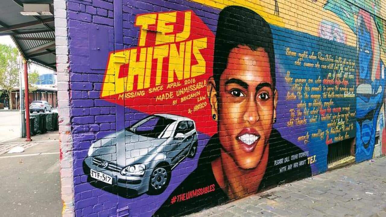 Tej Chitnis mural painting