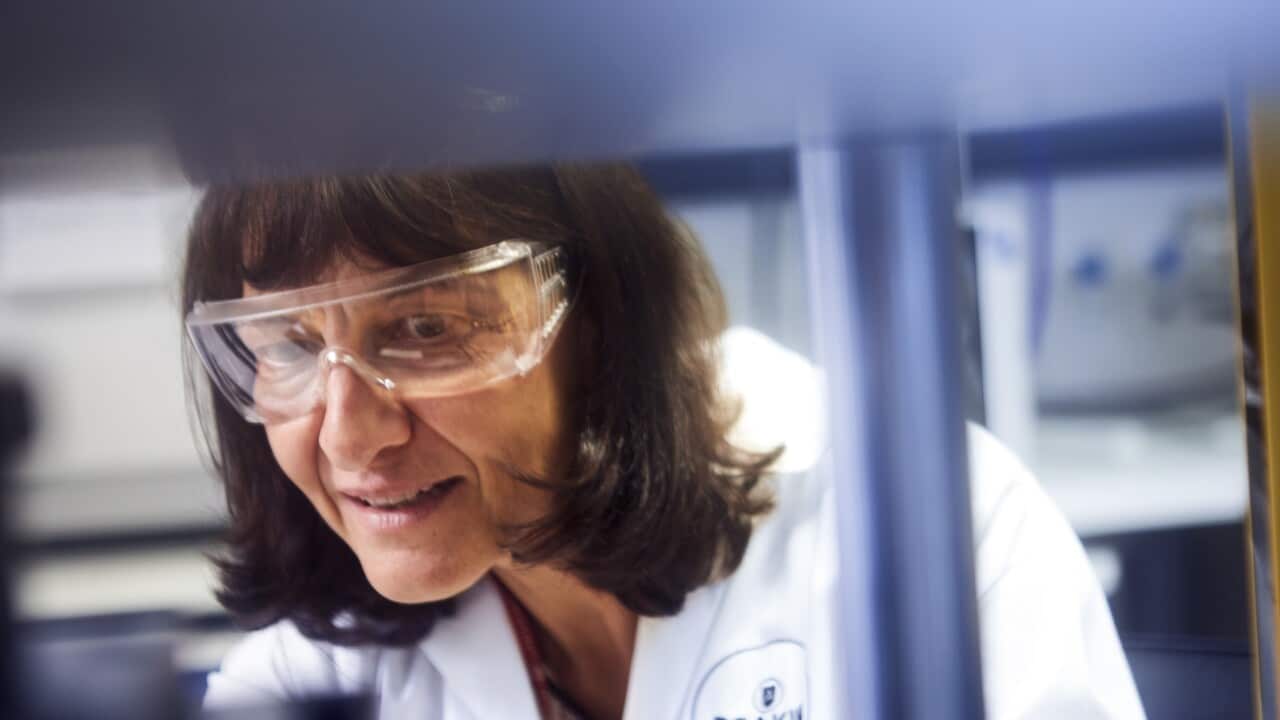 Image for read more article ''