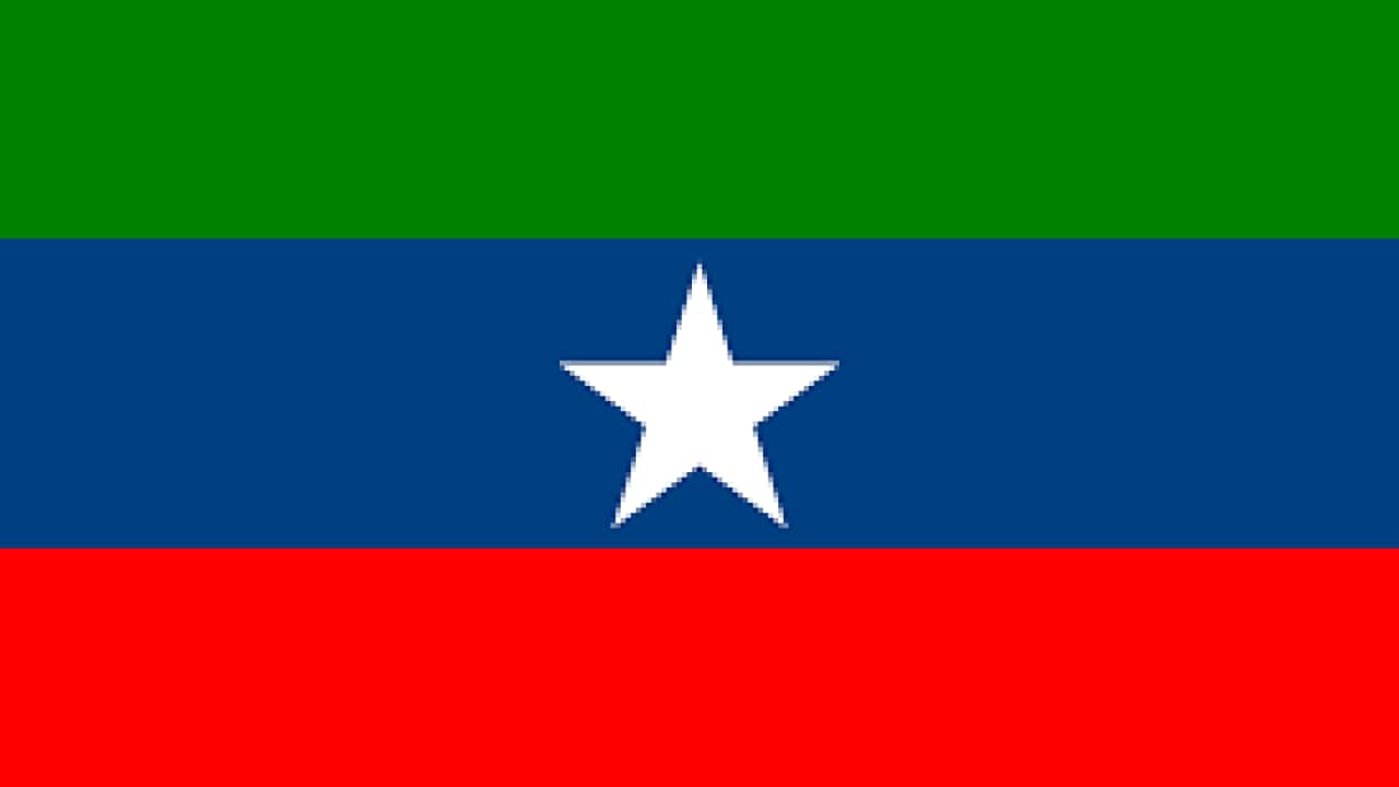 ONLF FLAG