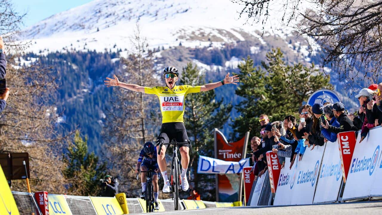 Image for read more article 'READ MORE'