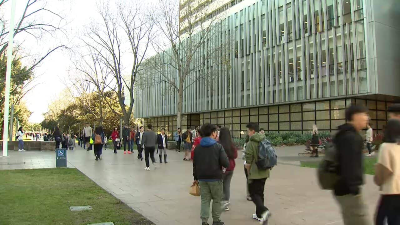 Image for read more article 'READ MORE'