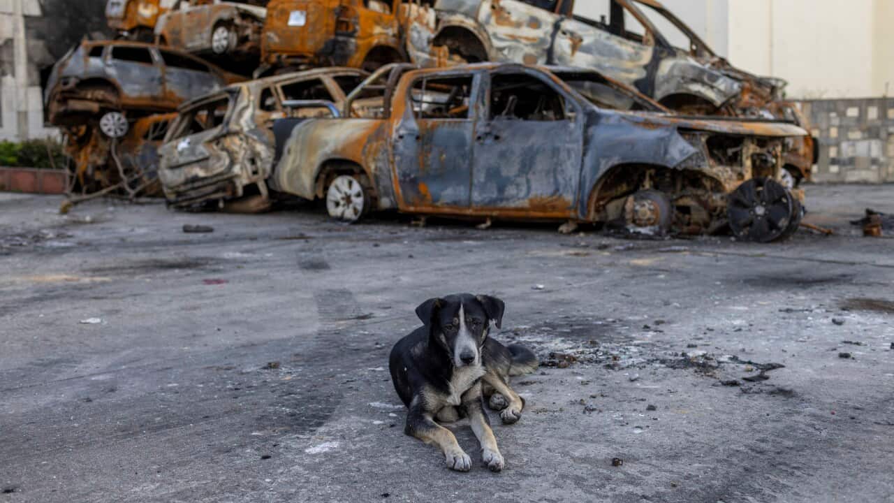 Nepal one month after Gen Z-led mass protests