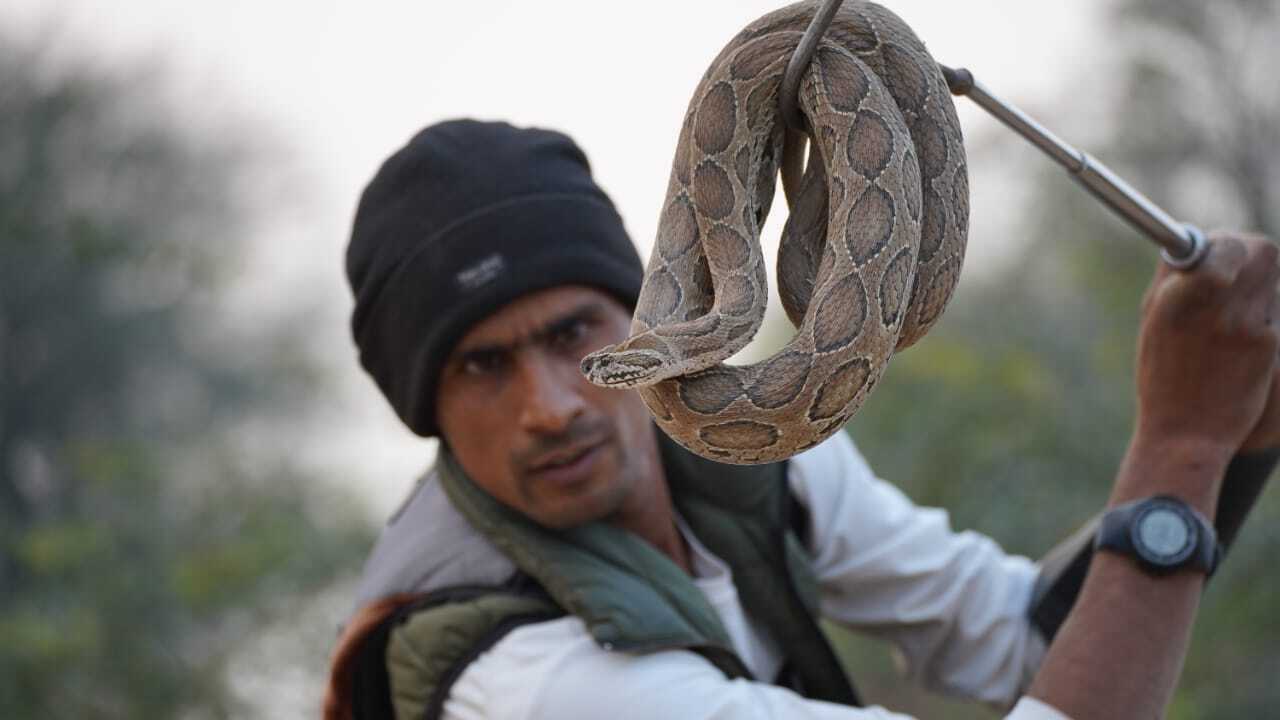 WhatsApp Image 2025-12-24 at 09.13.28.jpeg