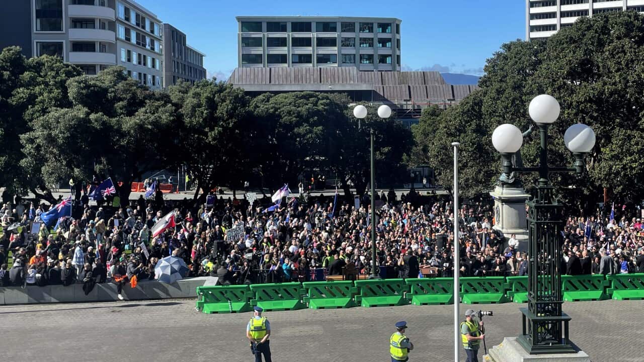 NZ ANTI GOVERNMENT PROTEST
