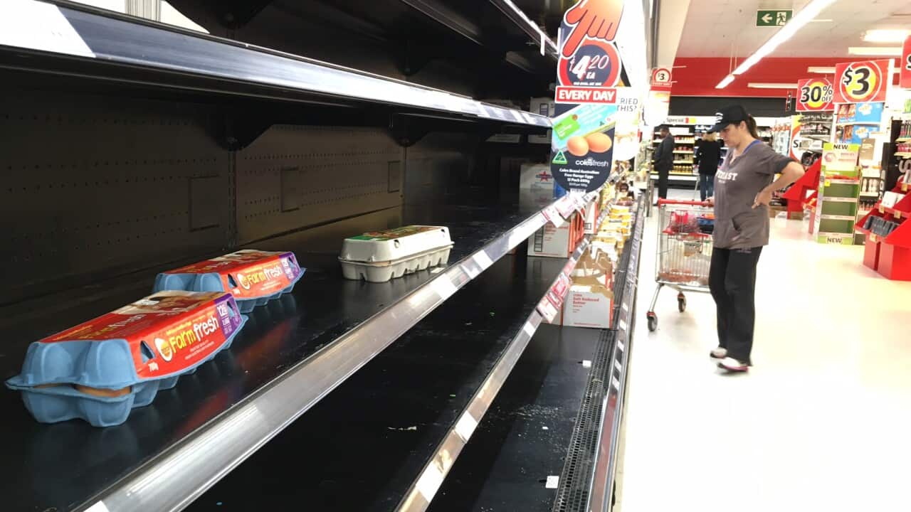 Empty shelves at a Coles in Forestville, Sydney, on Thursday June 9. (SBS)