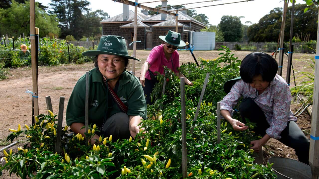 Image for read more article ''