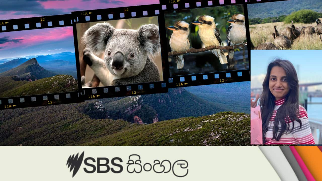 Grampian National Park