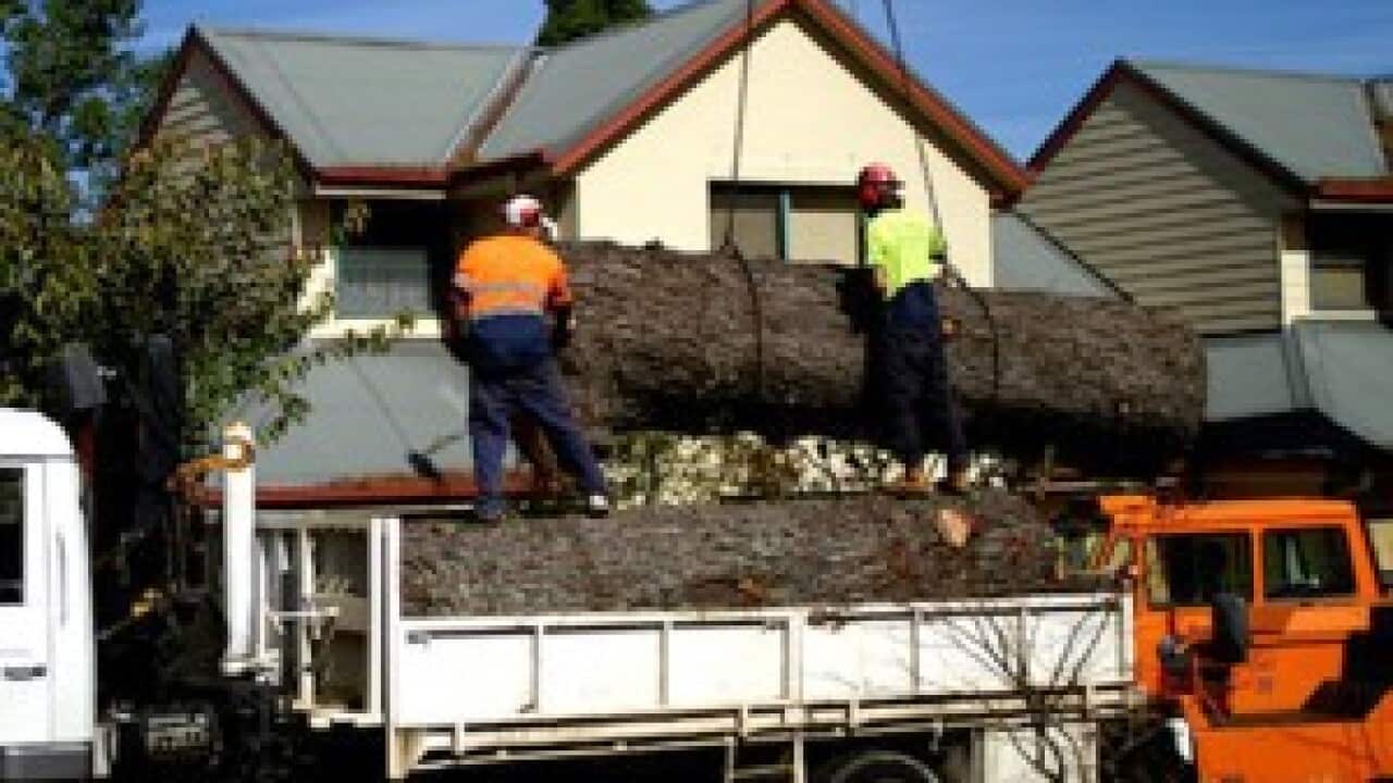 Image for read more article ''